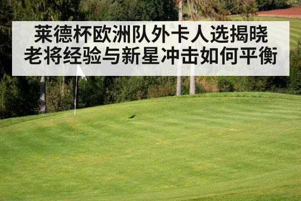 莱德杯欧洲队外卡人选揭晓 老将经验与新星冲击如何平衡（kaiyun）